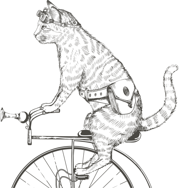 Cats on bikes, ftw.