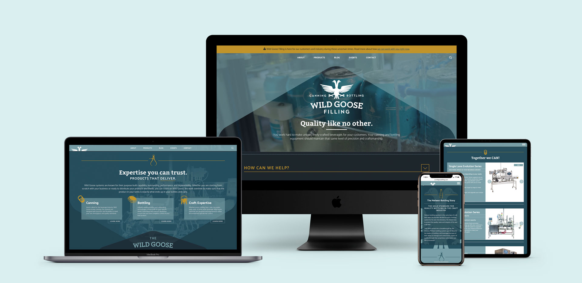 Wild Goose Filling website design